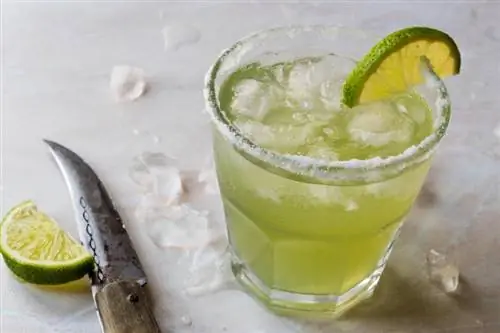 Ekstra syrlig limeade Margarita