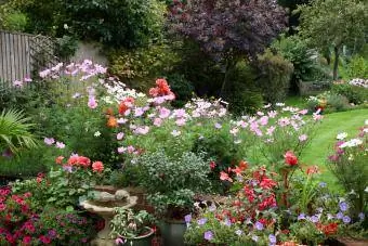 jardin fleuri à la maison