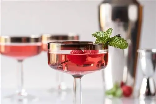 Red Raspberry Martini Oppskrift