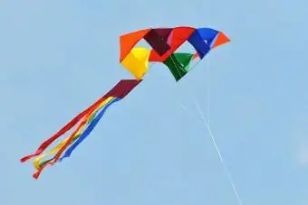 cellular kite