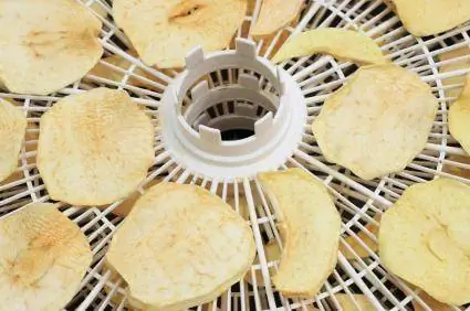 Mga Recipe ng Dehydrator para sa Malusog na Pagkain sa Isang Badyet