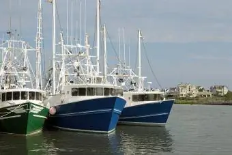 Cape May Fishing Fleet