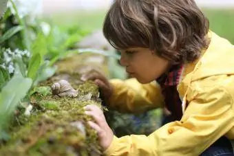 toddler, zēns, novērojot gliemezi