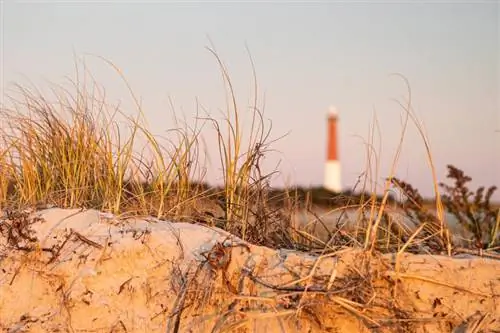 New Jersey Beach Camping: Var ska man börja