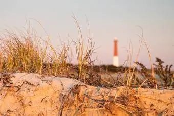 Photo inhabituelle d'un phare de Barnegat flou avec une végétation de dunes nette au premier plan