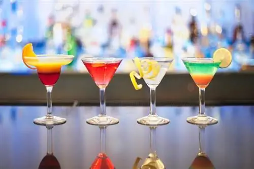 16 สูตร Fruity Martini เพื่อเพิ่มสีสันให้กับงานปาร์ตี้