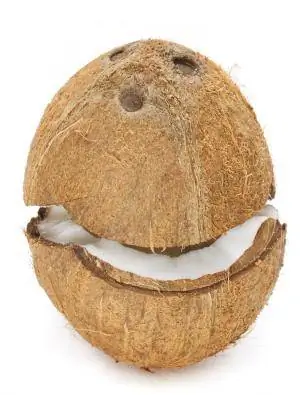 2 способа безопасно и эффективно открыть кокос &