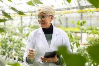 Técnico revisando plantas en el invernadero comercial.