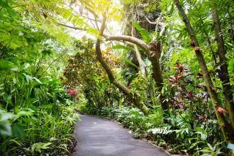 Tropisk botanisk trädgård