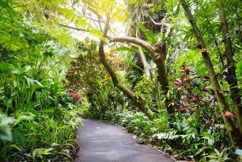 Tropical Botanical Garden