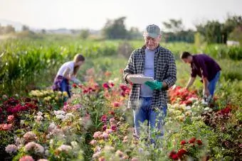 Gartner inspicerer sine blomster