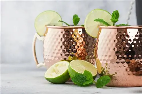 Spicy Moscow Mule With Gin