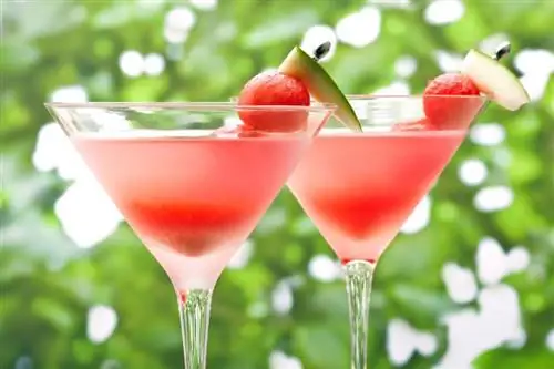 A legfrissebb görögdinnye Martini