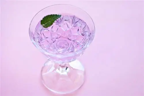 10 Playful Purple Martini Recipe