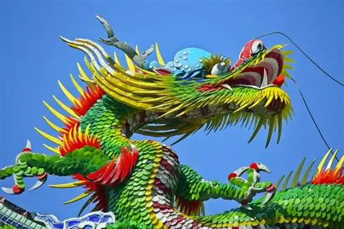 Pomen simbola kitajskega zmaja in razlaga mitologije