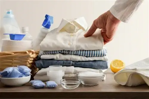 11 substitutos do detergente para a roupa que você pode fazer em casa