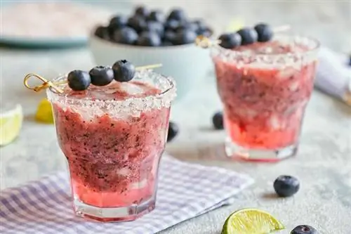Wildly Delicious Blueberry Margarita