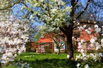 Wiosenny ogród