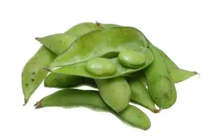 איך מבטאים את Edamame + טיפים לבישול