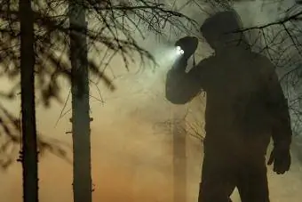 Silueto vyras miške stovi prie pliko medžio