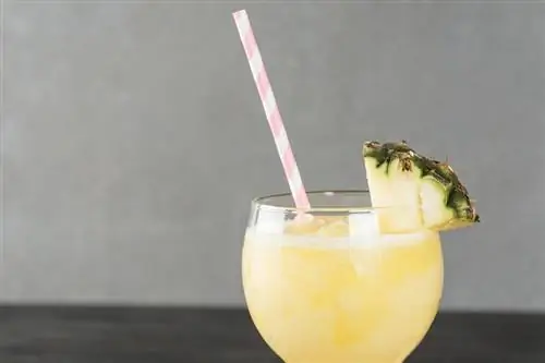 Een zelfgemaakte Piña Colada maken met verse ananas