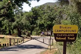 Bluejay campingplass, i Cleveland National Forest - Redaksjonell bruk i Getty