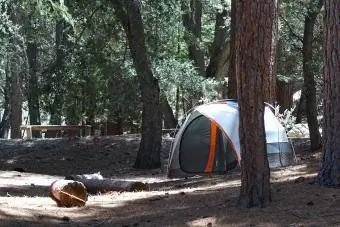 Fern Basin Campground