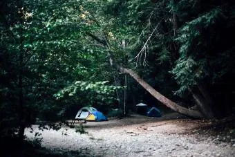 Petit groupe de tentes campant dans une forêt sombre, Big Sur, Californie, États-Unis