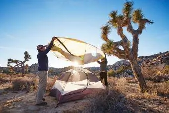 Mga camper na nag-assemble ng tent, Joshua Tree National Park, California