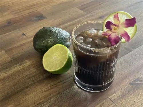 Masarap na Tart Tamarind Margarita Recipe