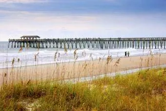 Myrtle Beach სახელმწიფო პარკი, სამხრეთ კაროლინა