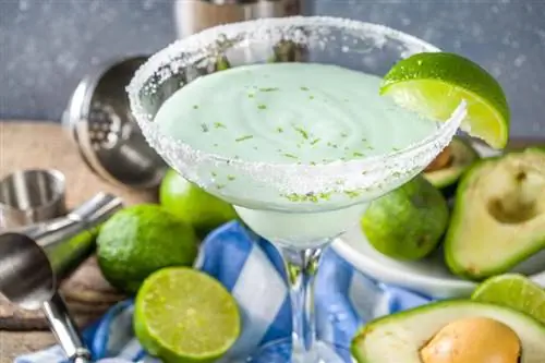 The Smooth & Receita Mellow Abacate Margarita