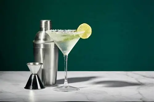 Vkusne kyslé Martini s citrónovou kvapkou