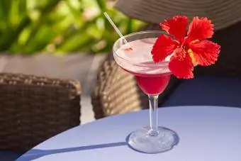 Hibiscus Margarita Cocktail