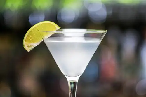 Puhdas & Simple Key Lime Martini