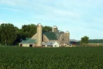 Det finns ett antal Amish-gårdar i Ontario.