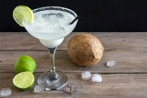 Tropický a krémový kokosový recept Margarita