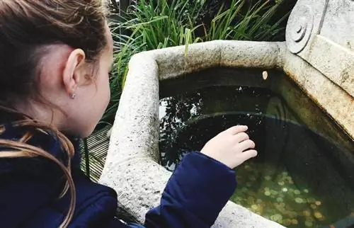 Nadace Wishing Well