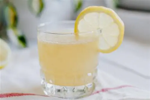 Таттуу жана кычкыл лимон Маргарита коктейлинин рецепти