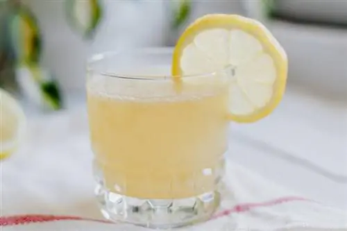 Édes-savanyú citromos Margarita koktél recept