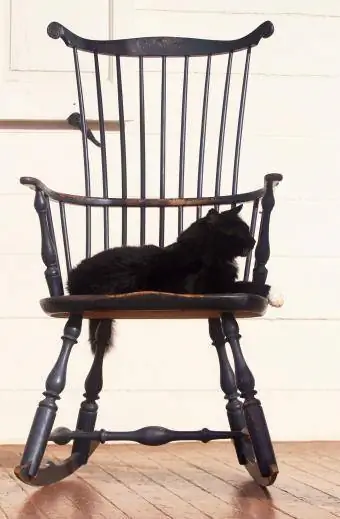 Un chat noir est assis de profil sur une chaise Windsor primitive