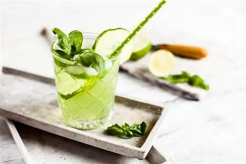 Resep Basil Gimlet yang Cerah dan Pedas