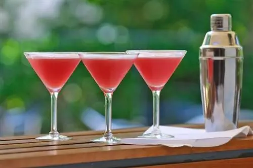 La receta suave del cóctel de martini francés