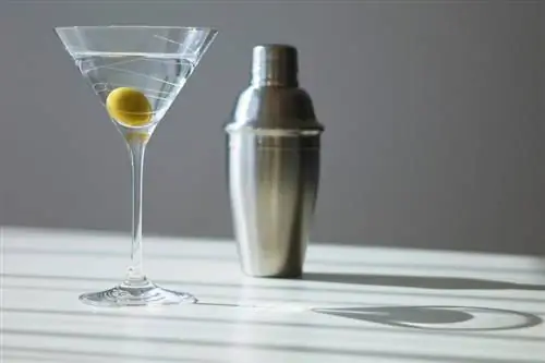 Классический рецепт сухого коктейля с мартини
