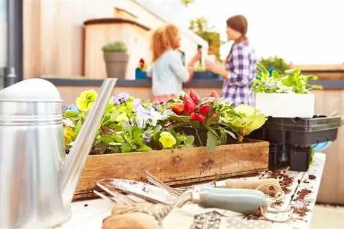 Beispiele für einzigartige Containergarten-Ideen