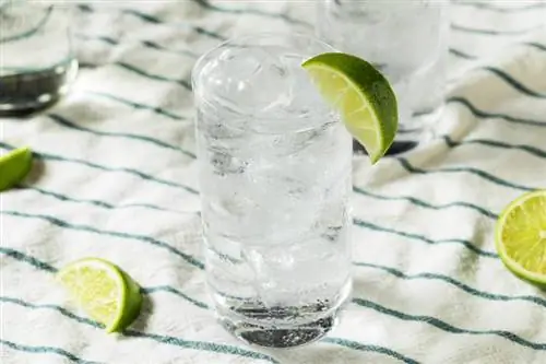 Det klassiska (och uppfriskande) gin- och tonicreceptet