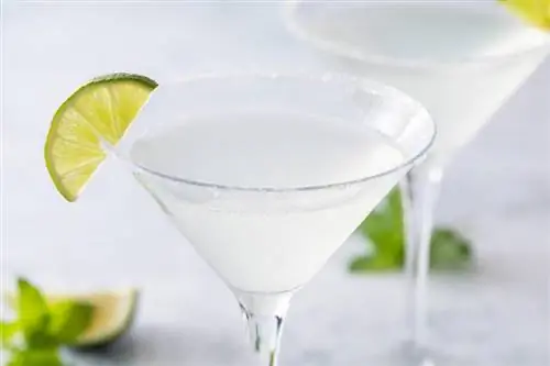 Rețetă simplă și echilibrată de cocktail de gin Gimlet