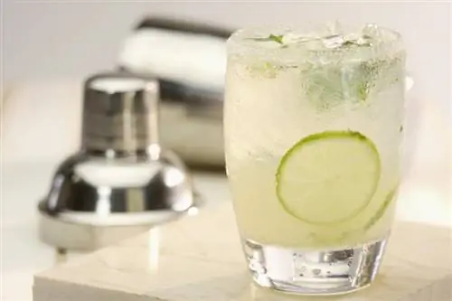 Txaus siab rau Skinny Margarita Recipe