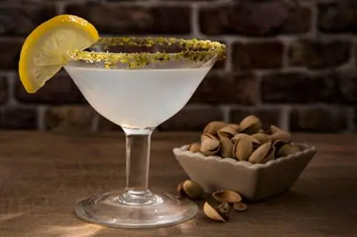 Uma receita tentadora de coquetel de pistache e martini