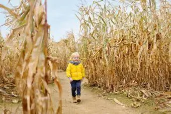 zēns staigā pa kukurūzas labirintu